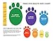 Pawz Dog Boots - Large - Black,12 pack