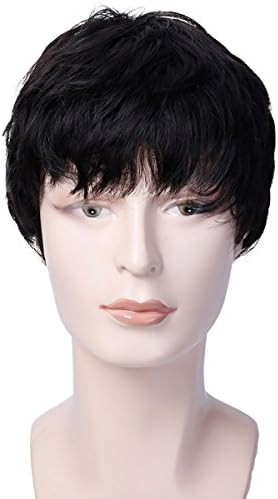 WTB Short Men Wigs For Black Men Natural Black Hair Pieces Straight Men's Wigs Heat Resistant Fake Hair (2)