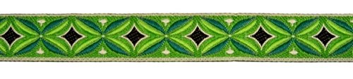 1A-Kurzwaren TH15-81-13 Indian Retro Border Woven Ribbon 16 mm Wide Colour: Green/Light Green