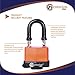 Centurion WPP Laminated Waterproof Padlock, Wide Body - Weather Resistant Outdoor Padlock, 3 Keys Included (50mm Body)