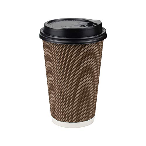 Fasmov 80 Pack 16 oz Disposable Double Walled Hot Cups with Lids