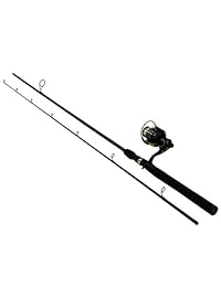 Mitchell avowalleye
