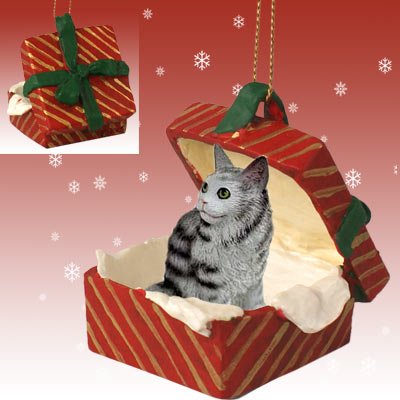 Conversation Concepts Silver Tabby Maine Coon Cat Gift Box Red Ornament