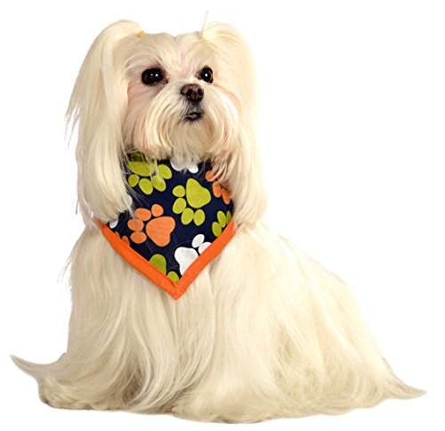 Rubies Costume Company Halloween Paws Pet Bandana
