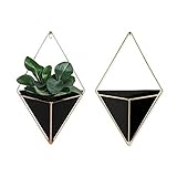 Geometric Wall Planter Set of 2, Decorative Hanging Planters with Brass Wall Decor Frame, Modern Wall Plant Holders in Black, Terrarium Planters for Succulents, Cactus Plants, Wall Plants & More