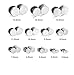 PiercingJ 4-24pcs Men Unisex Body Jewelry Fake Illusion Tunnel Plug Faux Expander 18g Gauge Stainless Steel Stud Earrings Screw Back, Double Side