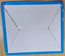 BISOFICE Counterfeit Bill Detector, Portable Money