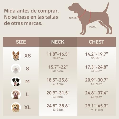 Sunraymascota Soft Lycra Padded Dog Harness,Mesh Breathable Comfortable Vest,Adjustable Size for Small Medium Large Breeds Safe with Two Buckles (Light Purple,M)