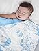 Clover & Sage Organic Muslin Baby Toddler Blanket - 100% Hypoallergenic Cotton Bed Blankets - Blue Forest