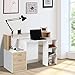 HOMCOM 54 Inches Computer Desk with Storage Shelves, Drawers and Printer Shelf, Writing Table for Home Office and Study, Oak