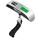 Recat Digital Hanging Luggage Scale with Temperature Sensor, Rubber Paint, 110 Pounds, Silver (1 Pack)