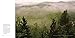 America's Great National Forests, Wildernesses, and Grasslands