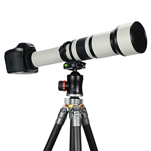 Telephoto Lens EF/EF-S JINTU 650-1300mm F8 Zoom Lens for Canon EOS SLR 4000D 2000D 80D 90D 5D III 6D 7D II 60D 70D 250D 750D 760D 1200D 1300D 1500D 650D 550D 0D 4500 D 400D Nikon D90 D5600 D780 D3200