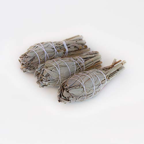 SMUDGING KIT Sticks - Sage Incense Sticks for Spiritual Chakra Cleansing, White Sage, Palo Santo & Abalone Shell for… - Image 5