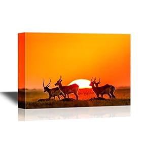 African Savanna Sunset Canvas Wall Art - Deers on African Savannah at Sunset - Gallery Wrap Modern Home Art | Ready to Hang - 12x18 inches