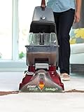 Hoover Power Scrub Deluxe