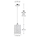 Globe Electric 65012 Trenton 1-Light Mini Pendant, Caged Crystal Shade, Polished Chrome Finish