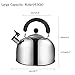 Tea Kettle for Stovetop, 4-Liter(4.3 QT), Stainless Steel Tea Pot with 3-ply Capsule Base, Large Teakettles Tea Pots Quick Heating by Ecpurchase (4-Liter)