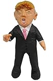 Donald Trump Pinata, 32
