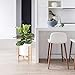 Plant Stand Indoor Mid Century, Bamboo Plant Pot Holder, Adjustable Width 8″ up to 12″, Modern Home Gardern Decor (Planter Not Included)thumb 3