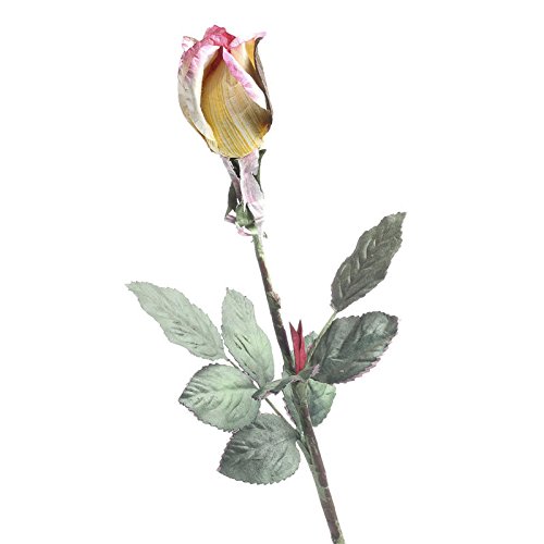 Factory Direct Craft Package of 6 Dried Cream and Pink Artificial Rosebud Stem Flowers for Arranging, Crafting and Designing