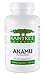 Raintree Formulas Anamu (Petiveria alliacea) 500mg 100 Veg Capsules by Raintree Formulas
