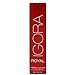 Schwarzkopf Professional Igora Royal Permanent Hair Color, 7-00 Medium Blonde Natural Extra, 60 Gram