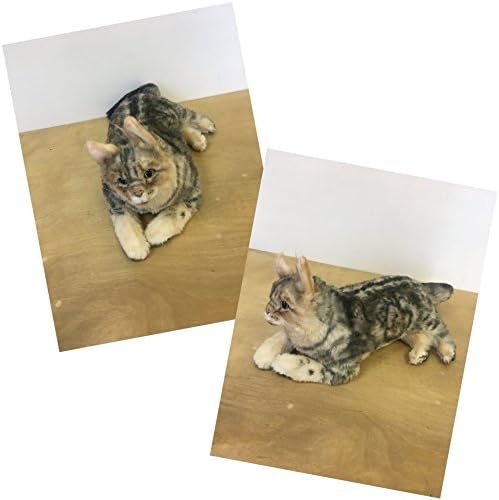 Adoptables - Plush Bengal Cat