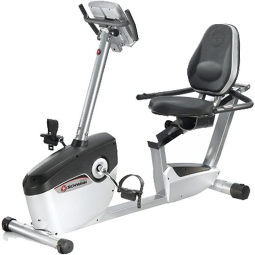 schwinn 113 exercise bike