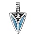 Arrowhead Wolf Paw Brave Wild Powers Protection Amulet Charm Simulated Turquoise Adjustable Necklace