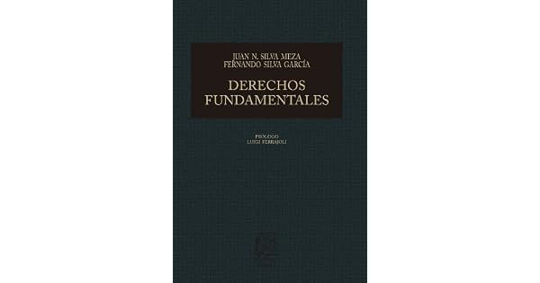 Derechos Fundamentales Bases Para La Reconstrucción De La - 