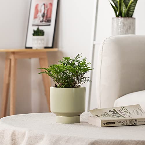 JOFAMY Ceramic Plant Pots, Scandinavian 2 pcs Mint Green Flower Pots with  Drainage Holes and Saucer, 5.5/4.5 Inch Ceramic Planter for Small Plants, Succulents  Cacti, Balcony Desk Dresser Decoration