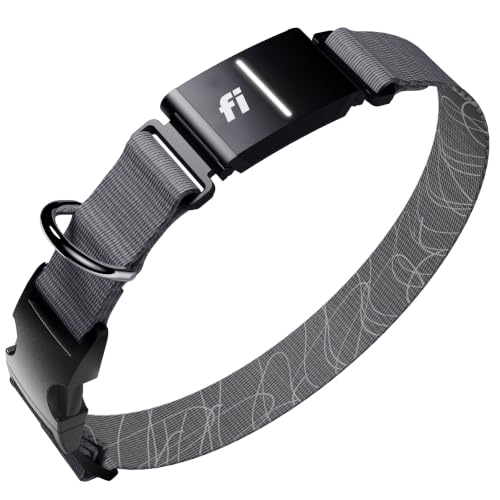 Fi Series 3+ GPS Dog Collar