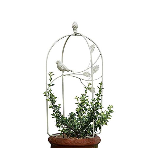 CJSWT Garten Pflanzenstütze Rankhilfe,Blumenstütze Gitterspalier Topfpflanzen Rankgitter Pflanzkübel Pflanzenkäfige für…