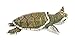 Safari Ltd. Kemp's Ridley Sea Turtle Baby Figurine - Lifelike 5