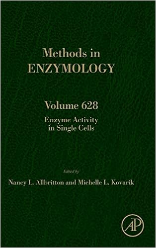 Amazon Com Enzyme Activity In Single Cells Volume 628 Methods In Enzymology Volume 628 9780128170908 Allbritton Nancy Kovarik Michelle Books
