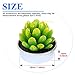 Glarks Cute Tea Lights Tealight Candles, Succulent Cactus for Birthday Party Valentine's Day Wedding Spa Home Decor and DIY Gift, 12Pcs a Pack