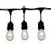 Brightown Outdoor String Light (Black)