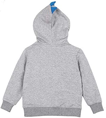 hoodies 100 cotton