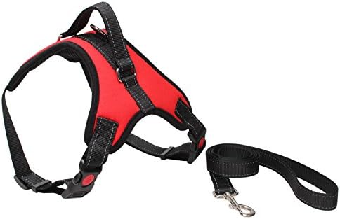 Adjustable Large Dog Collar Leash Harness for Walking Running Training DH002 (Large, Red)