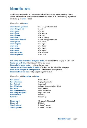 501 Italian Verbs (Barron's 501 Verbs)