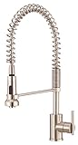 Danze D455058SS Parma Pre-Rinse Single Handle Spring Spout Kitchen Faucet, Stainless Steel, Stainless Steel