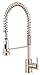 Danze D455058SS Parma Pre-Rinse Single Handle Pull-Down Kitchen Faucet, Stainless Steel