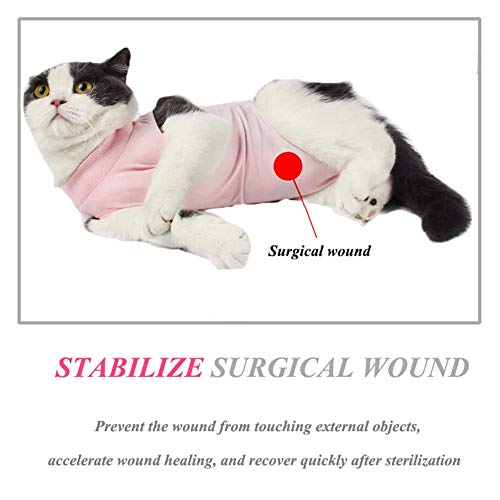 Coppthinktu Cat Recovery Suit for Abdominal Wounds or Skin Diseases