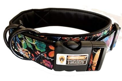 dog collar belt online