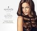 Ventura Blow-Out Brush Blue (VB-1) Vented, Thermal, Ionic Paddle Brush Nylon & Boar Bristles - Curved Edges for Smoothing, Straightening & Root Lift