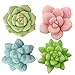 Segreto Creative Refrigerator Magnet Simulated Succulent Plant Resin Fridge Magnet for House Office Kitchen Whiteboard,6 pcs