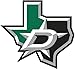 Dallas Stars NHL Hockey Bumper Sticker 5