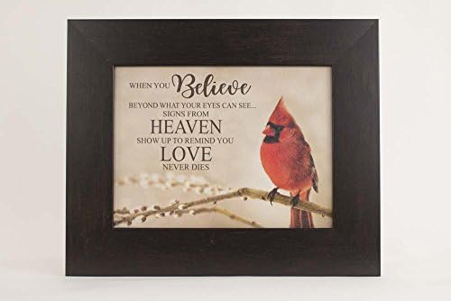 New When You Believe Beyond What Your Eyes Can See Signs From Heaven Pussywillow Decor Sympathy Art (Espresso Frame)