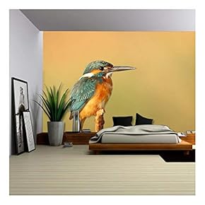 Closeup of a Bird Stand on The Branch - Removable Wall Mural | Self-Adhesive Large Wallpaper - 66x96 inches